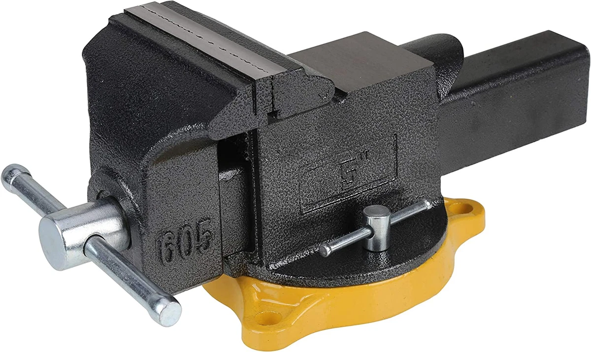 Olympia 2024 5 vise