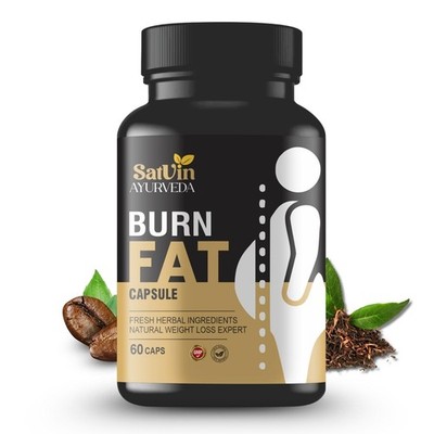 2X Satvin Ayurveda Fat Burner | Garcinia Green Tea & Apple Cider Vinegar 60 caps