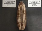 NARANJO DYNASTY POTTER - DOLLY NARANJO-NEIKRUG, "SEED JAR" - ORIGINAL OWNER — photo 4