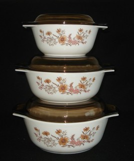 PYREX 6 pezzi JAJ England COUNTRY AUTUNNAL / Woodland Casseruola Set di coperchi