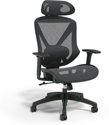Dexley Ergonomic Task Chair, Mesh, Ergonomic, Lumbar Support, Adjustable Height,