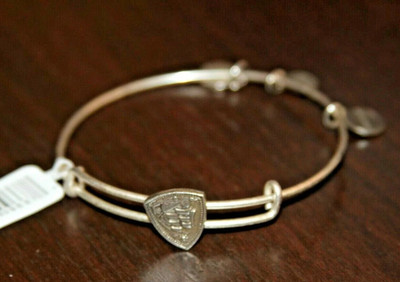 #123 Alex and Ani Silvertone Bangle    Steady Vessel