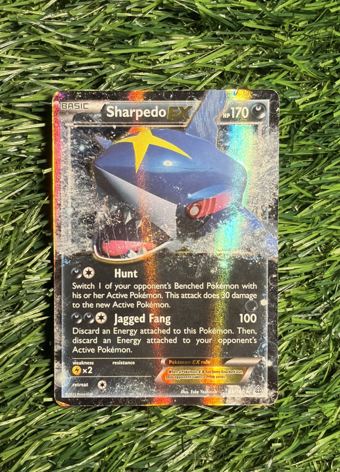 Sharpedo EX 91/160 XY - Primal Clash Holo