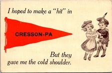 Pennant, Hoped to Make a Hit in Cresson PA Vintage Postcard E62