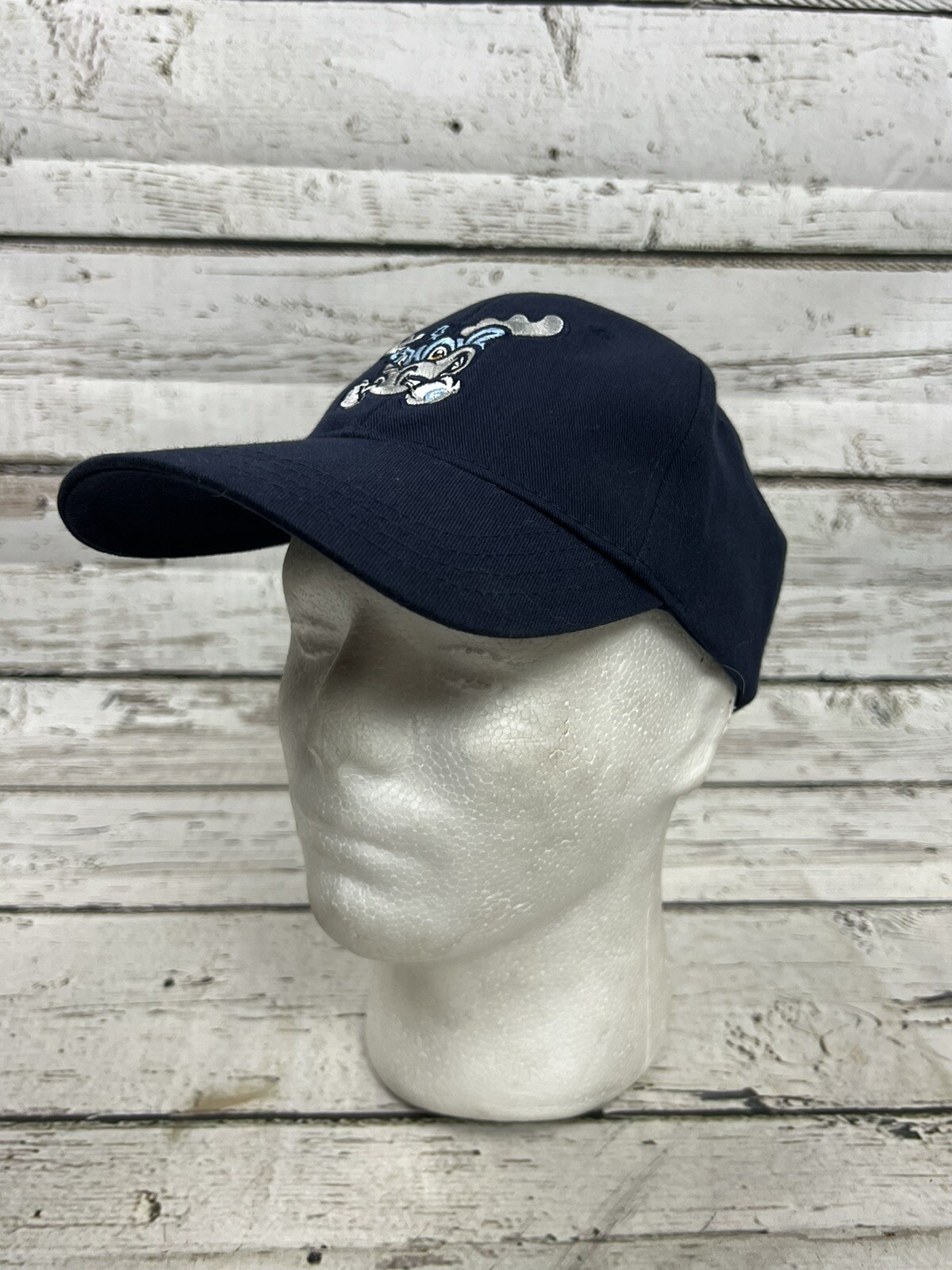 Wilmington Blue Rocks MiLB Nationals Embroidered Bimm Ridder Strapback
