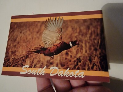 Vintage Postcard Post Card VTG Photograph South Dakota Ring Neck Pheasant 