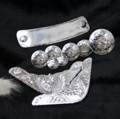 Showman 10 Piece Engraved Silver Trim Kit