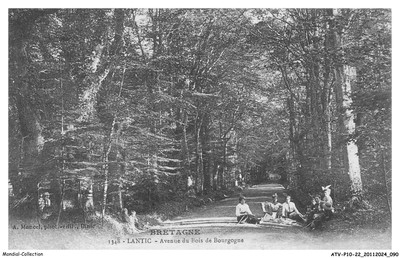 ATVP10-0772-22 - LANTIC - Avenue du bois de bourgogne