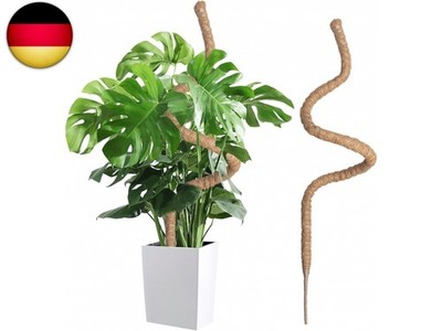 Wigearss Moosstab für Monstera, Kokosfaser Rankhilfe, Pflanzstab Kokos, 