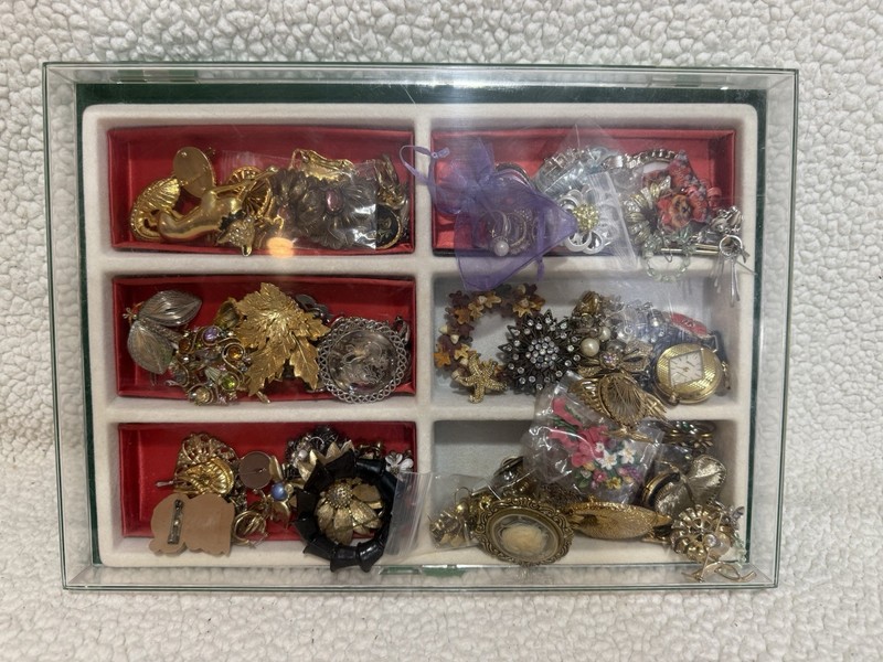Large Costume Jewelry Lot With Plastic Case - Monet, Napier, Etc. Earrings Pins