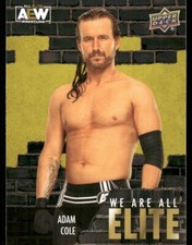 2023 Upper Deck AEW We Are All Elite #AE-13 Adam Cole wrestling card
