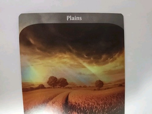 MTG Plains - FOIL instabile quasi nuovo - Magic The Gathering - Foto 2 di 6