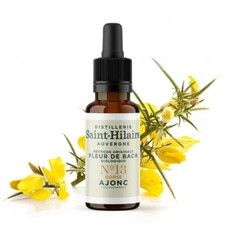 Fleur de Bach bio n°13 - Ajonc - Distillerie Saint Hilaire - 20ml