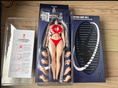 VERYCOOL VCD-03 1/6 Full bodied Platinum Silicone Body（NO details