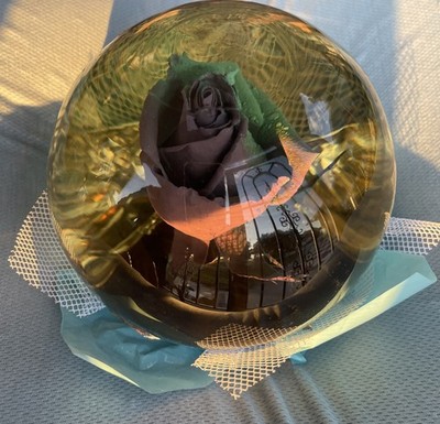 Krystal Roses Stunning Leaves In A Decorative snow global export made in Mexico 