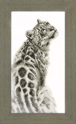 Crystal Art Counted cross stitch kit BT-159C Panther