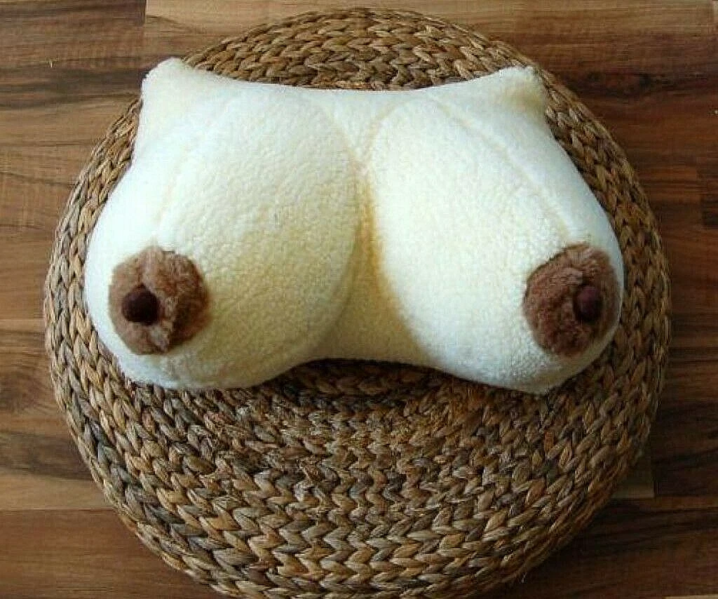 Decorative pillow Breasts Erotic pillow Original gift Erotica Cushion chest  | eBay