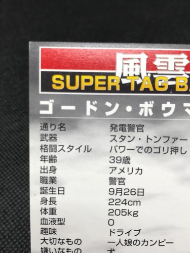 Gordon SUPER TAG BATTLE SNK Trading Cards Gamest Rare Made in JAPAN 1996 - Bild 8 von 12