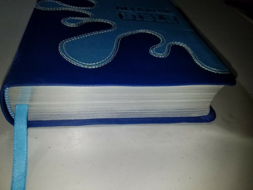 Deep Blue Kids Bible Common English CEB, Like New Silver Gilded Edge, 2012, Soft - Picture 10 of 10