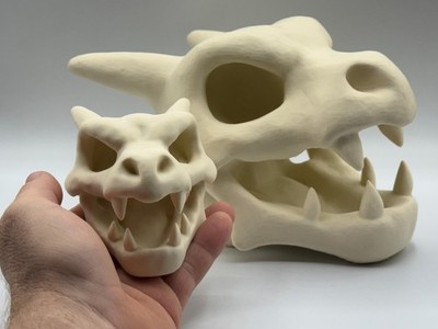 3D Printed Mythical Baby Dragon Skull. Two Different Sizes To Choose From