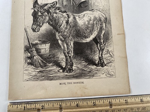 Antik 1879 Gravur Harrison Weir Miff der Esel alt 1800’er Kunstdruck Scheune - Bild 3 von 3
