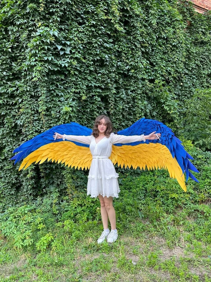 Dance Wings Belly Dance Fairy Costume Cosplay Bird CostumeFestival Fantasy Sexy - Image 3 of 4