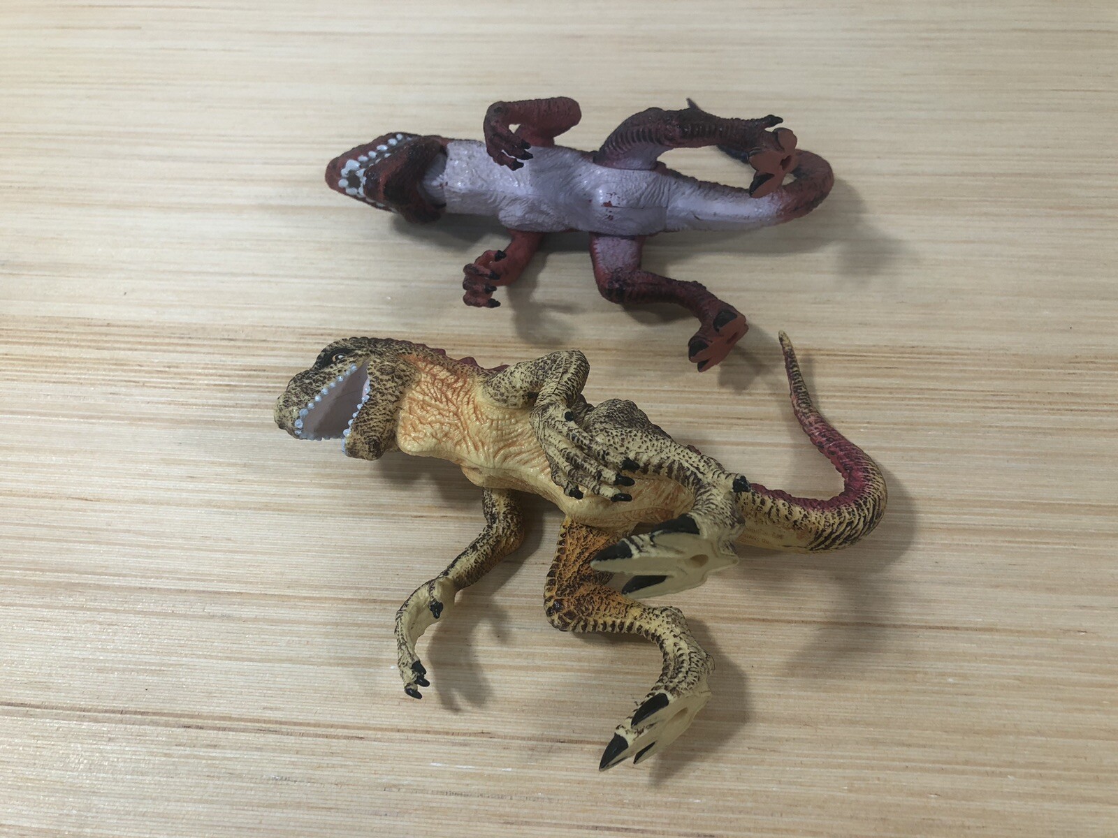 Picture 8 of 12