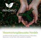 Bild 9 von 12