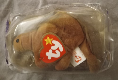 TY Dinosaurier Trio Steg 2000 McDonalds - Bild 3 von 8