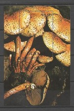 Champignons Guyana 1990 (30) bloc oblitéré used