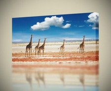 Giraffes In Desert CANVAS PRINT Wall Art Decor Giclee Animals 4 Sizes CA34