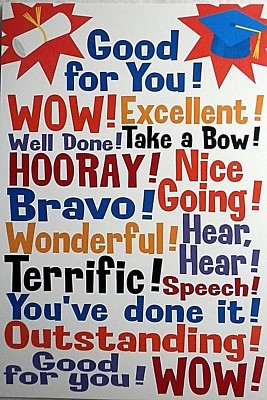 Graduation Greeting Card /& Envelope for ANYONE Hallmark Shoebox Humor NEW