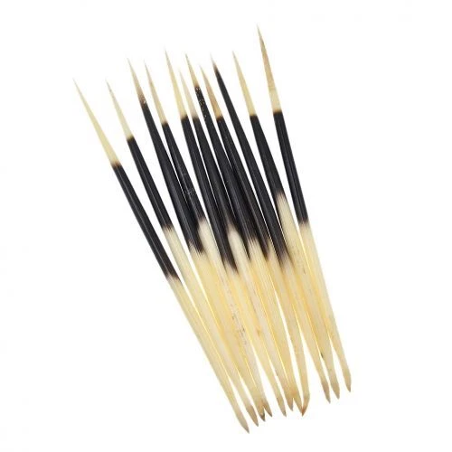 10stk Stachelschwein Federkiele Stick Schwimmt Angeln Bobber Making DIY Bastel - Bild 13 von 13