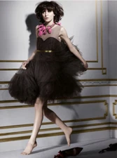 Fabulous! LANVIN + H&M Black Silk Tulle Dress with Nude Top/Lining NWT EUR 40