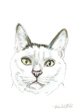 ACEO Original Watercolor Painting 2.5"x3.5" Tabby Tuxedo Cat Pet Portrait