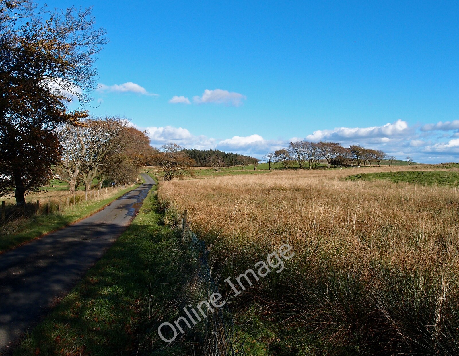 Photo 6x4 Minor road,Moyne Moor Gabroc Hill Road cuts through very rough  c2011