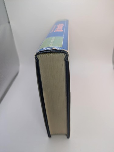 Der Illearth-Krieg (1977, Hardcover) von Stephen R. Donaldson Erstdruck - Bild 9 von 14