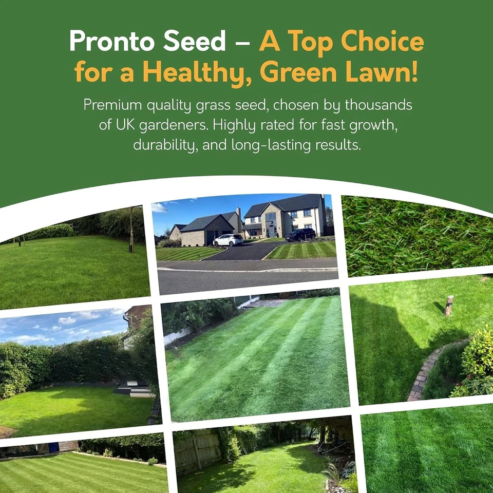 Pronto Seed Premium Grass Seeds
