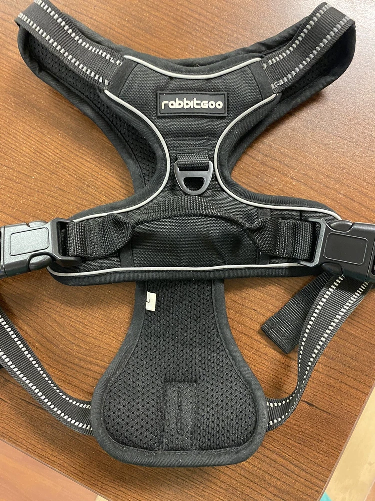 Dog Harness Rabbit Go Large!  New!!!/ Black Dogs Up To 75 Lbs