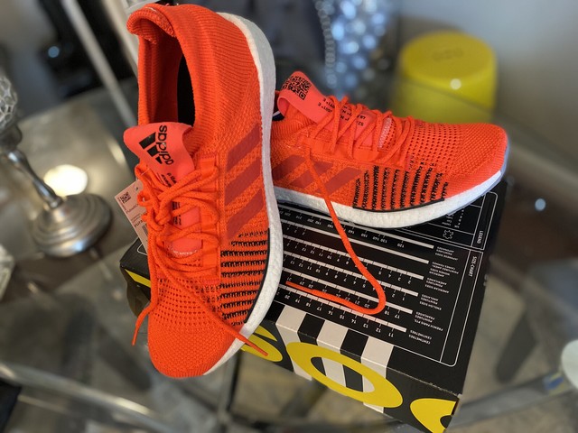 adidas shoes size 13