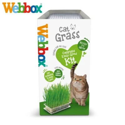 Webbox Cat Grass Easy Grow Kit Treat Helps Eliminate Fur Hairballs 1x or 6x 120g