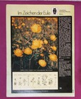 Bild 73 von 105