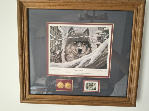 Winter Watch Framed Wolf Print Wall Art with 2-Coin Display and Stamp