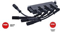 NGK 49086 ZüNdspule ZüNdmodul FüR Fiat FüR Ford FüR Lancia