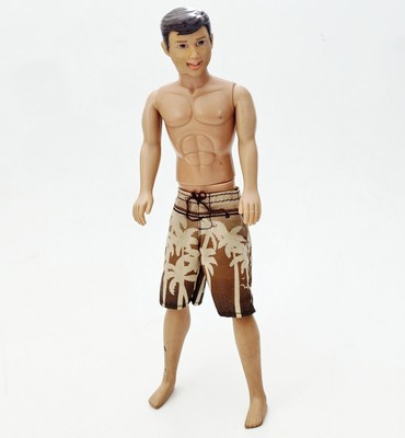 SIMBA 12'' Steffi Love Action Figure CALIFORNIA BEACH KEVIN 30cm Surfer Bermuda