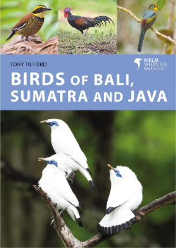 Tony Tilford Birds of Bali, Sumatra and Java (Tascabile) Helm Wildlife Guides