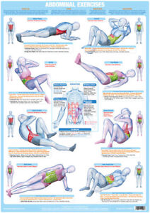 Ab Roller Workout Chart