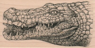 Alligator Head 2 1/2 x 4 1/2'' Rubber Stamp, Alligator Stamp