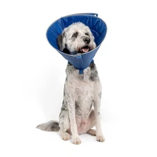 Target Medium Blue Comfortable Durable E Collar Recovery Cone for Pets