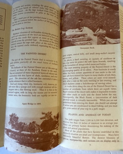 Brochure da viaggio vintage 1963 The Petrified Forest National Park Arizona - Foto 5 di 11